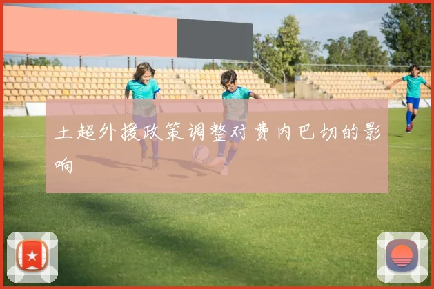 土超外援政策调整对费内巴切的影响