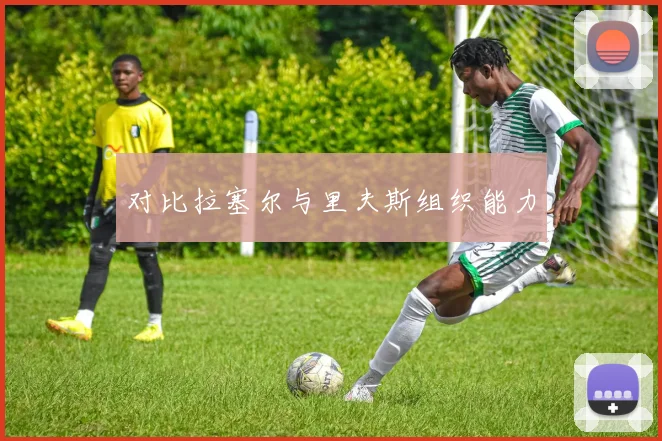 对比拉塞尔与里夫斯组织能力