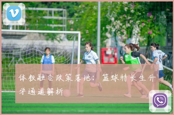 体教融合政策落地：篮球特长生升学通道解析