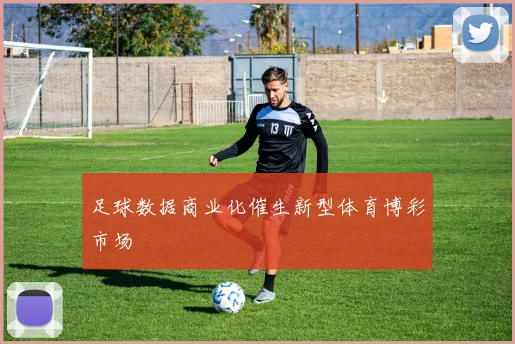 足球数据商业化催生新型体育博彩市场