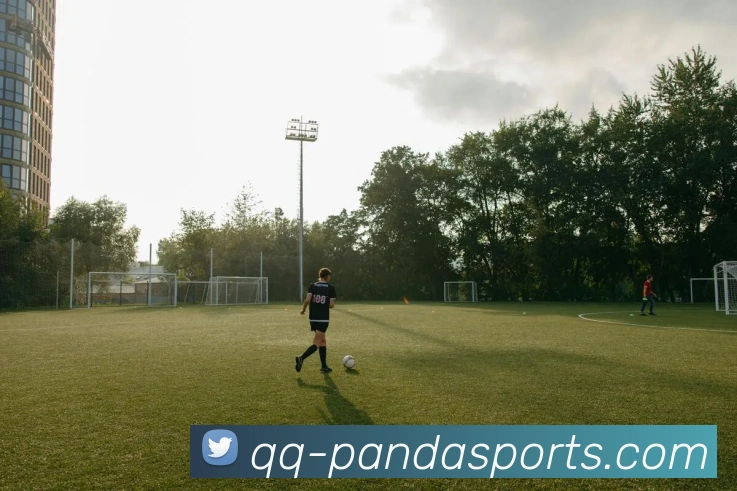 熊猫体育品牌故事