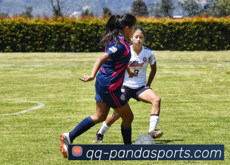 熊猫体育服务体系